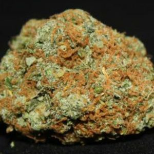 G13