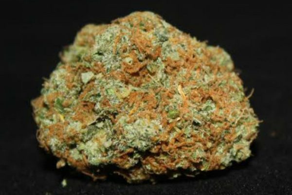 G13
