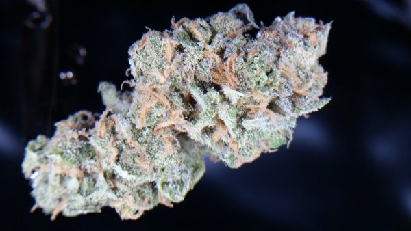 Purple Trainwreck