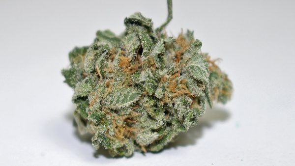 Romulan