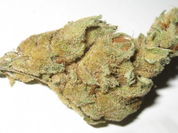 Kush