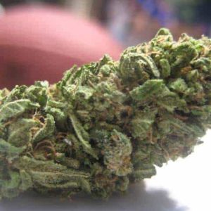 AK 47