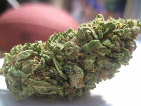 AK 47