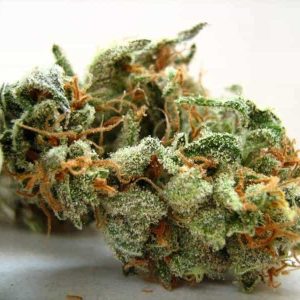 Amnesia Haze
