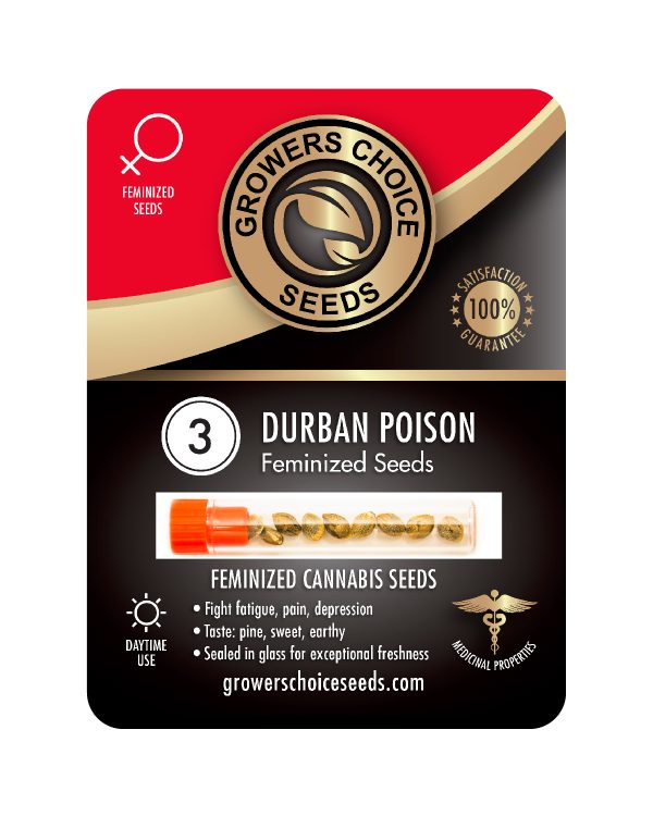 Durban Poison Feminized Cannabis Seeds - Image 3