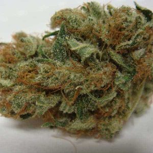 Chocolate Kush