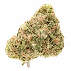 Gelato