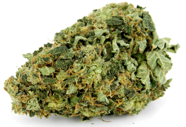 Hindu Kush