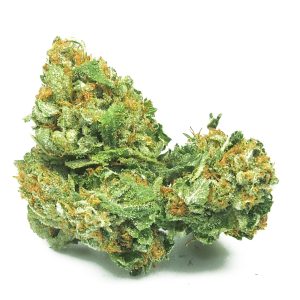 Jesus OG