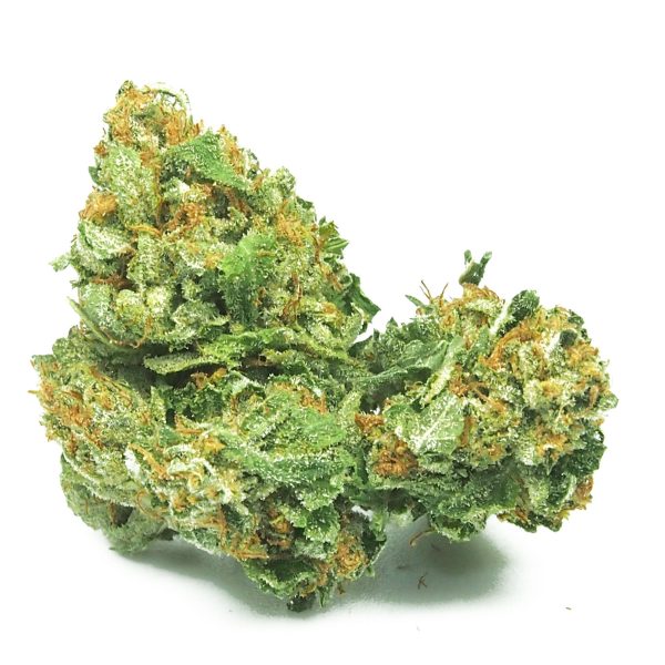 Jesus OG