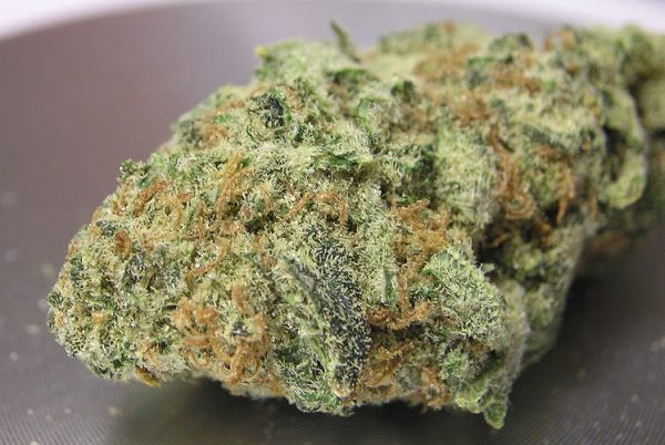 Juicy Fruit
