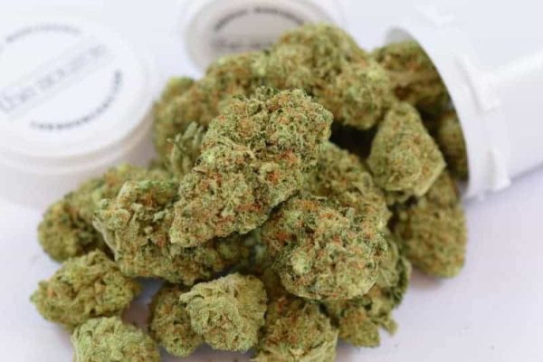 Kosher Kush