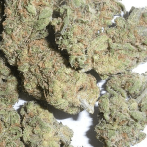 MK Ultra