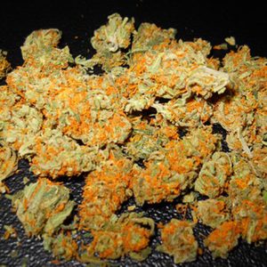 Mango Kush