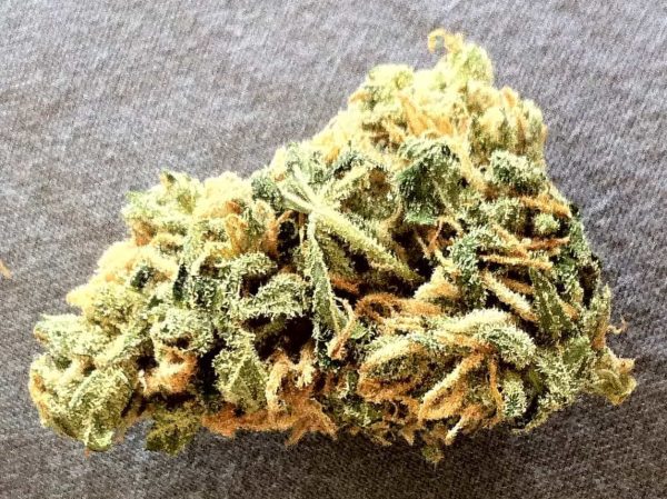Maui Wowie Kush