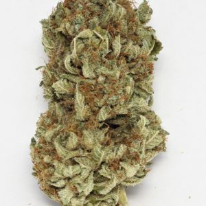 Orange Kush
