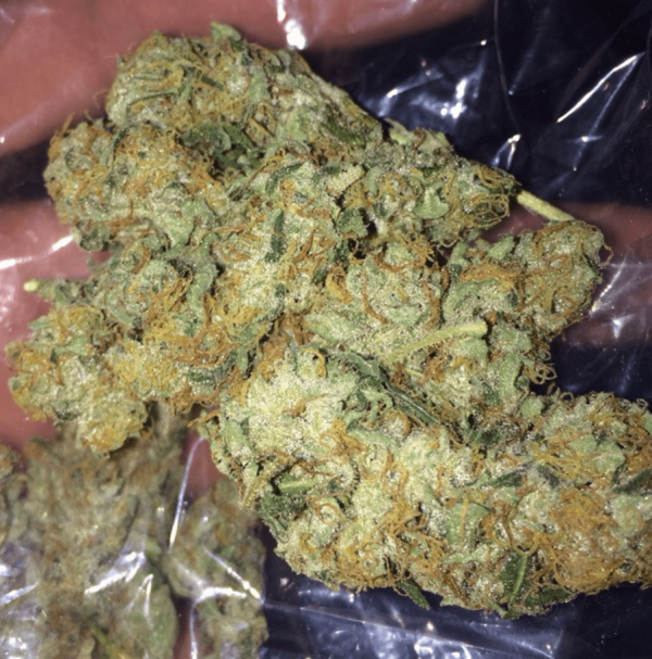 Pineapple Express Kush