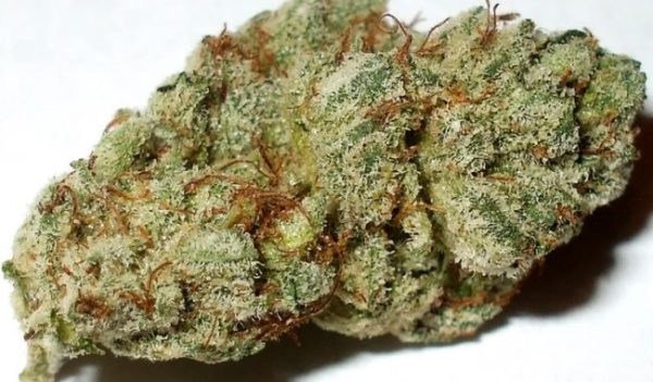 Platinum OG