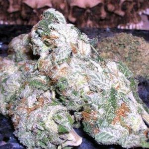 White Widow