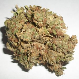 Afghan Kush