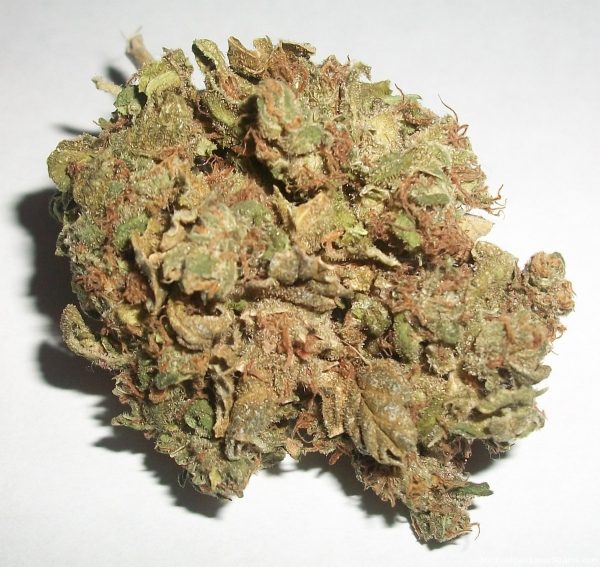 Afghan Kush