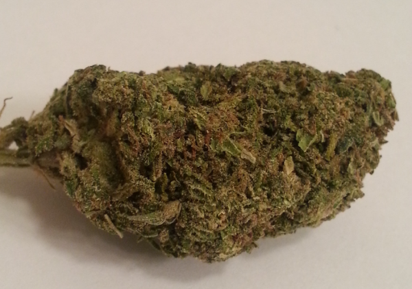 Blueberry Kush
