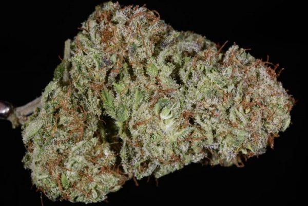 Critical Mass