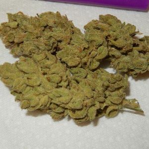 Gorilla Glue