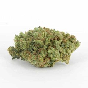 Halo OG