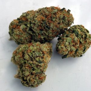Khalifa Kush