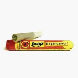 daydreamer Pre-Rolls