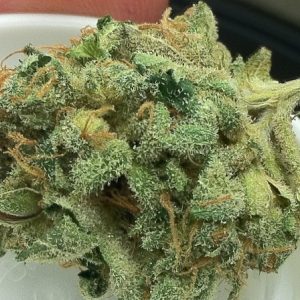 MK Ultra