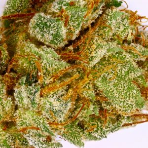 King Louis XIII