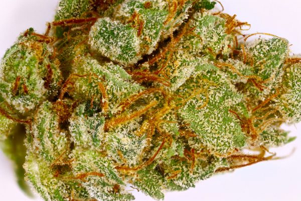 King Louis XIII