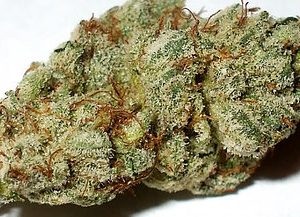 Platinum Kush