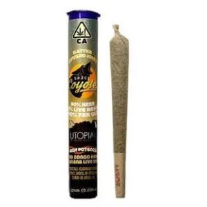 Banjo w/ Banana Live Resin Infused Joint
