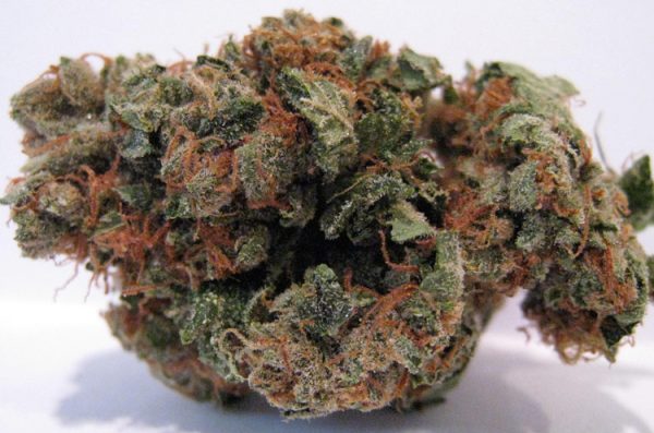 Agent Orange