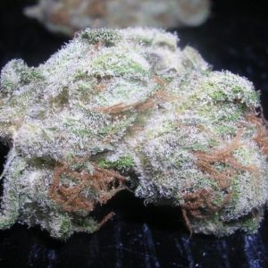 White Rhino